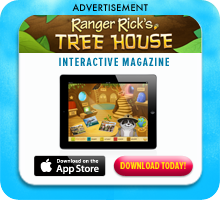 Download Ranger Rick's Treehouse app today!